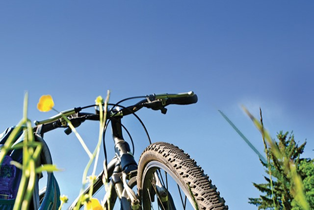 Bike it easy, tour nel Parco della Salina