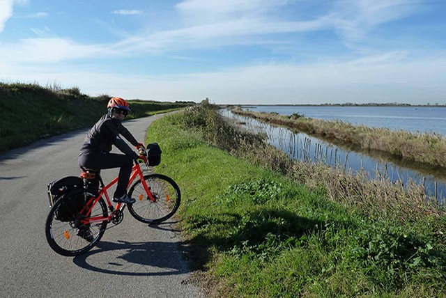 Delta bikewatching, in bici e barca nelle riserve del Delta del Po