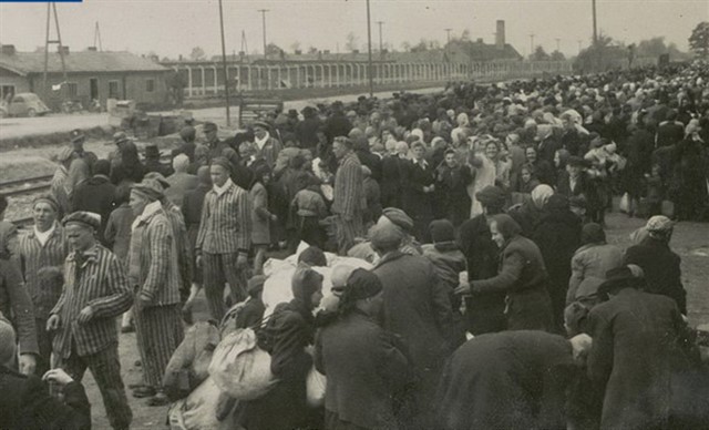 Escursione e visita alla mostra “Auschwitz-Birkenau 1940-1945”  