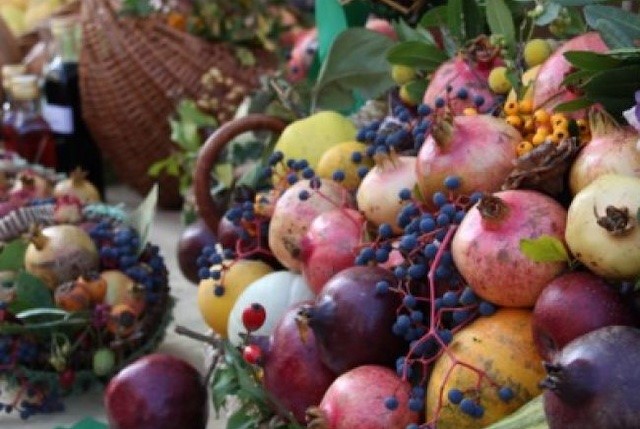 Festa dei Frutti Dimenticati con esposizioni, degustazioni