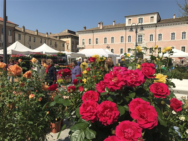 Ravenna in fiore/ Mostra mercato in piazza Kennedy
