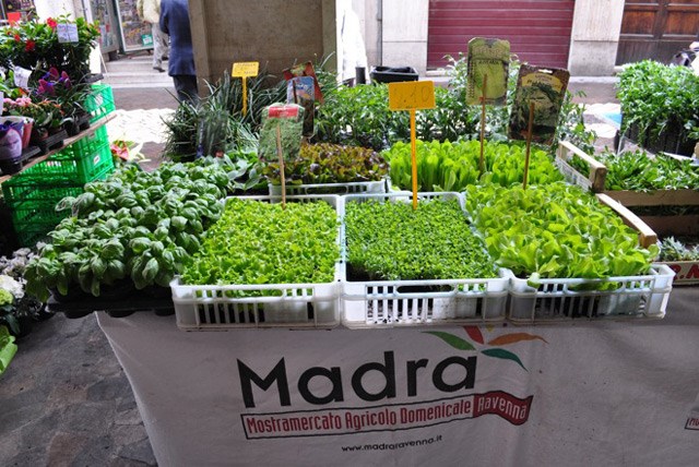 Madra, il mercato contadino